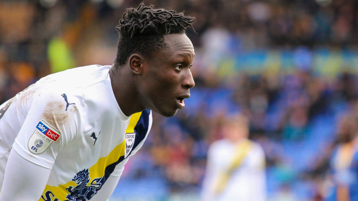 agyei-shrews.jpg